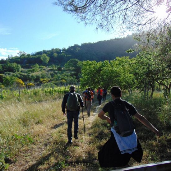 Group of friends with backpacks doing trekking excursion on mountain - Young tourists walking and exploring the nature - Trekker, hike and travel people concept