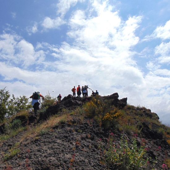 Group of friends with backpacks doing trekking excursion on mountain - Young tourists walking and exploring the nature - Trekker, hike and travel people concept