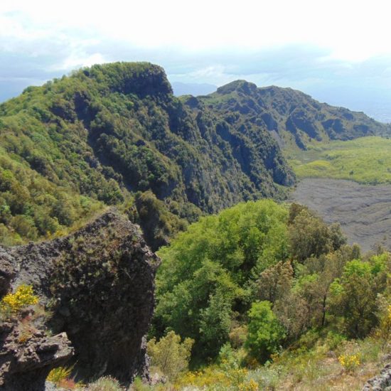 Vista del monte somma